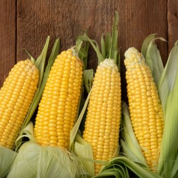 Corn